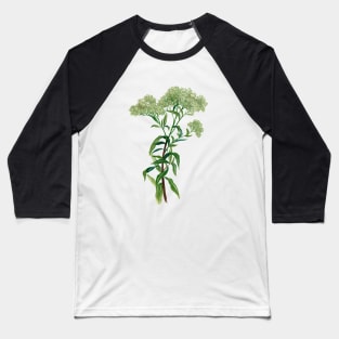 November 29th birthday flower Baseball T-Shirt